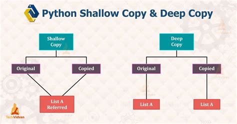 shallow copy deep copy example.